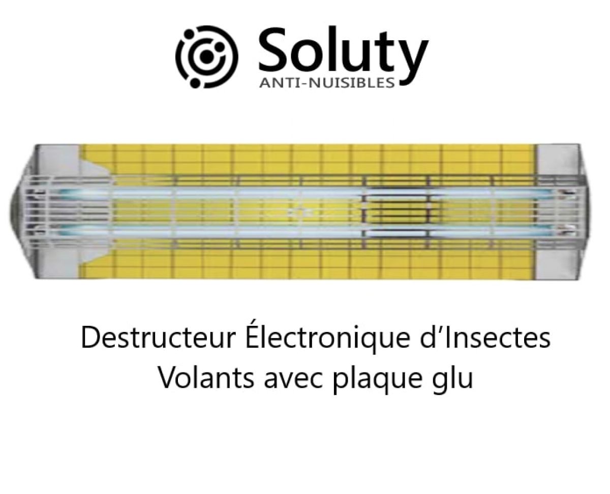 Comment Fonctionne Le Destructeur D Insectes Volants Soluty