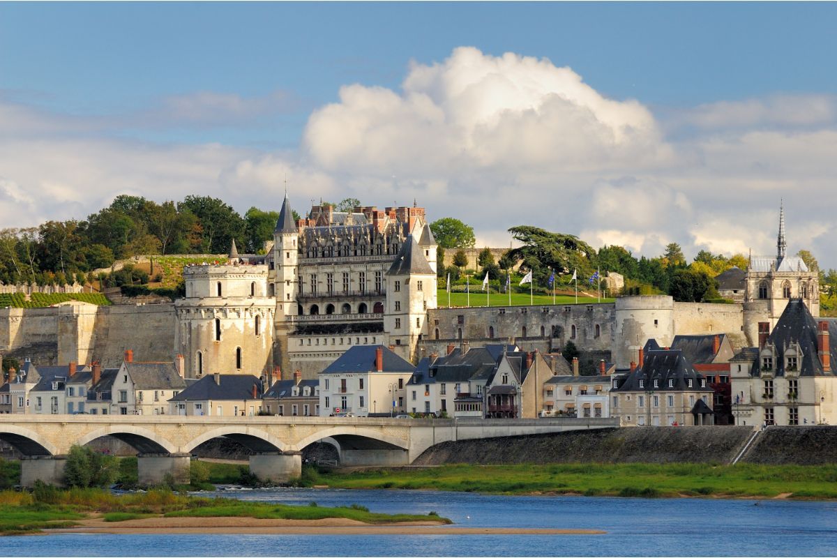 Punaise de Lit à Amboise société lutte traitements SOLUTY