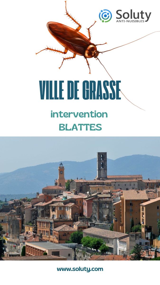 Société de désinsectisation (lutte anti insectes nuisibles) de cafards et exterminateur de nuisibles à Grasse (06130)