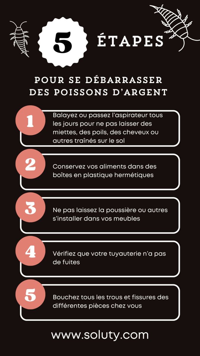 conseils : Comment se débarrasser du poisson d’argent ?