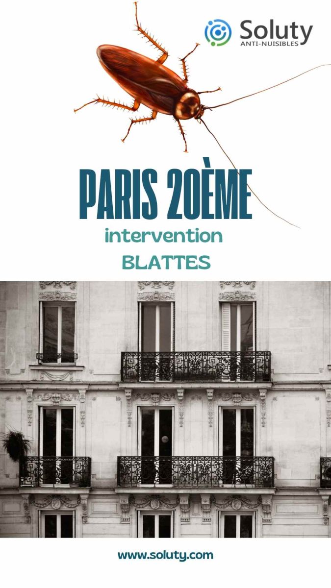 Société de désinsectisation de cafards et exterminateur de nuisibles à Paris 20ème (75020)