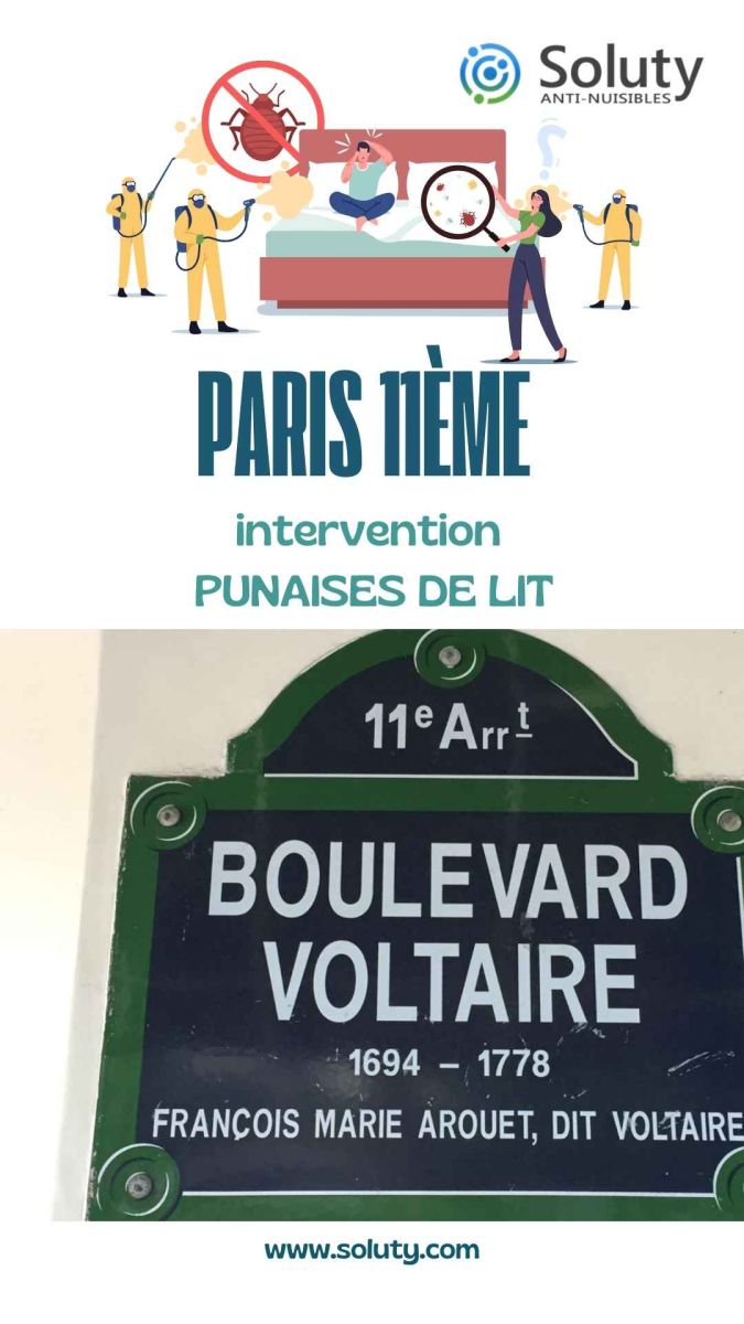 Société de désinsectisation de punaises de lit et exterminateur de nuisibles à Paris 11ème (75011)