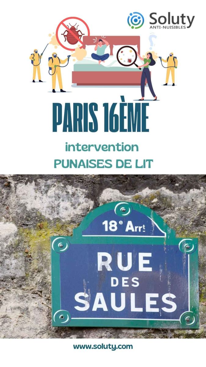 Société de désinsectisation de punaises de lit et exterminateur de nuisibles à Paris 16ème (75016)