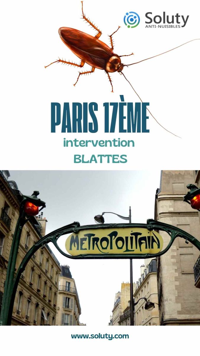 Société de désinsectisation de cafards et exterminateur de nuisibles à Paris 17ème (75017)