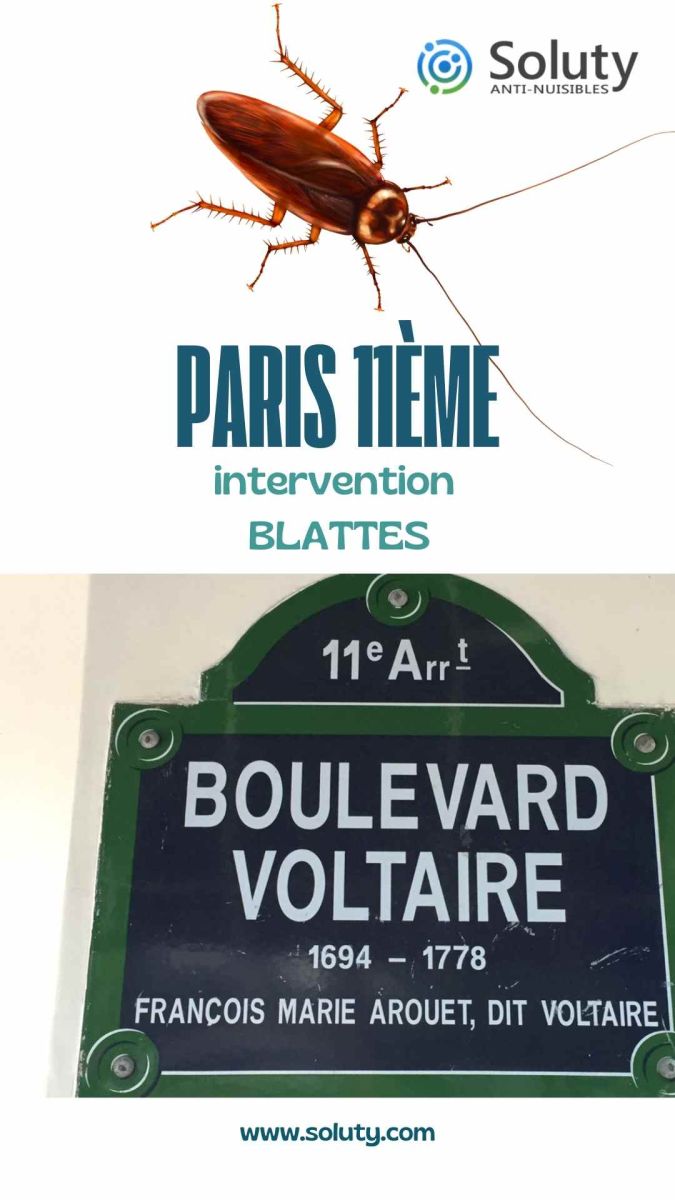 Société de désinsectisation de cafards et exterminateur de nuisibles à Paris 11ème (75011)