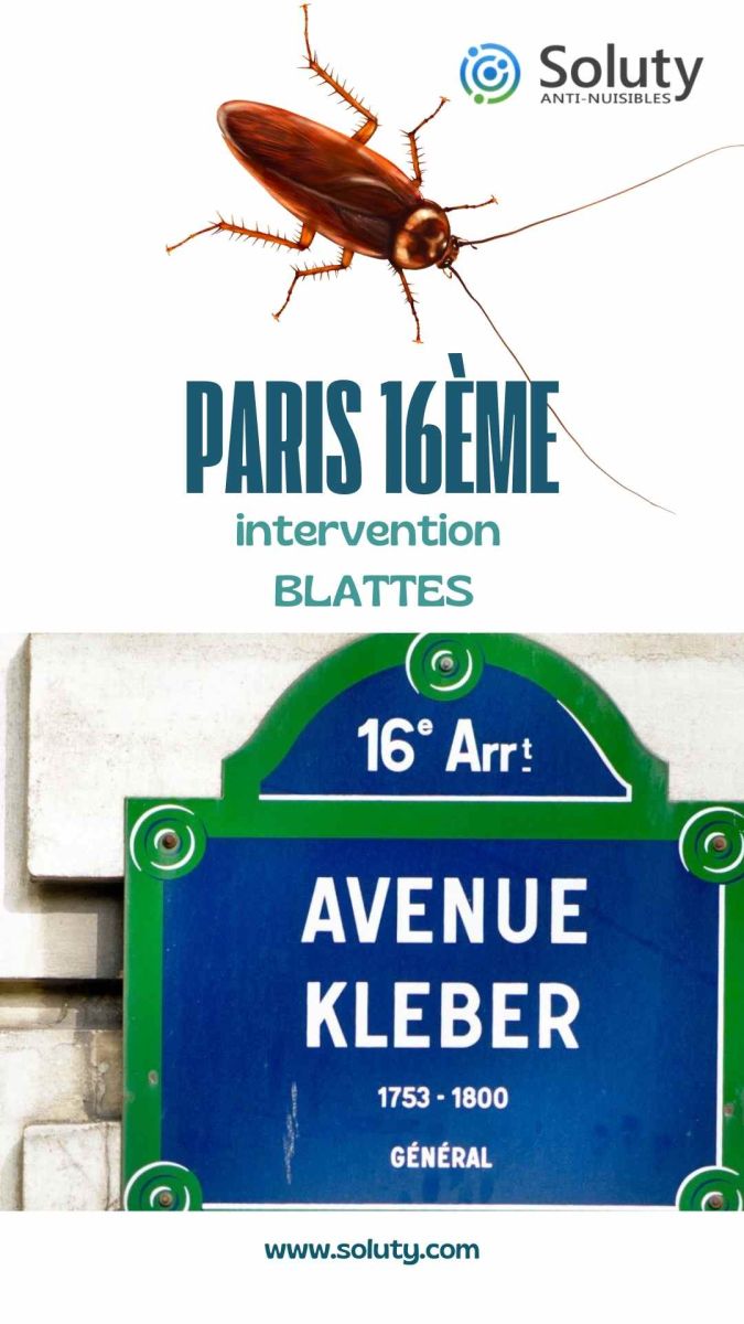 Société de désinsectisation de cafards et exterminateurs de nuisibles à Paris 16ème (75016)