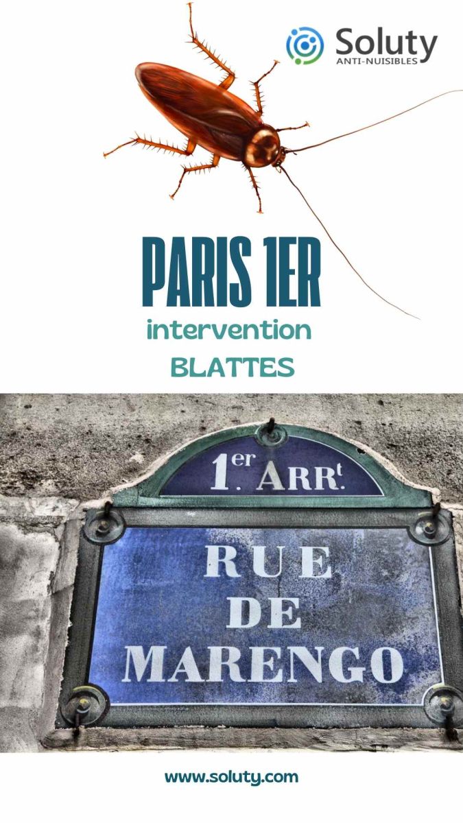 Société de désinsectisation de cafards et exterminateur de nuisibles à Paris 1er (75001)