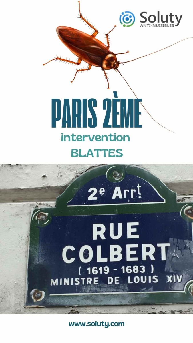 Société de désinsectisation de cafards et exterminateur de nuisibles à Paris 2ème (75002)