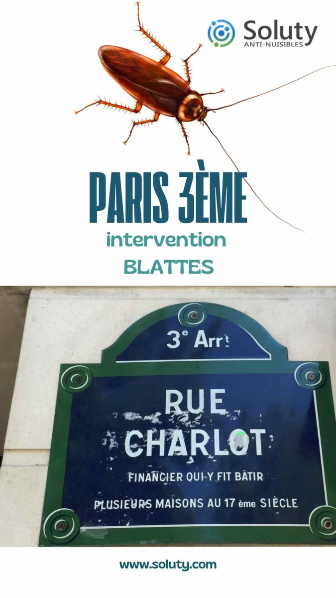 Société de désinsectisation de cafards et exterminateur de nuisibles à Paris 3ème (75003)