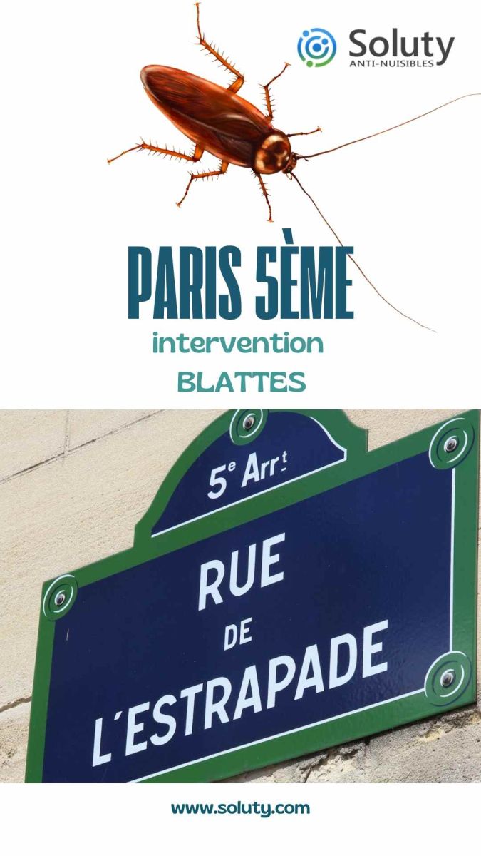 Société de désinsectisation de cafards et exterminateur de nuisibles à Paris 5e (75005)