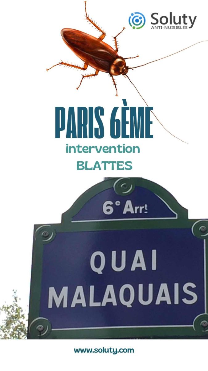 Société de désinsectisation de cafards et exterminateur de nuisibles à Paris 6ème (75006)