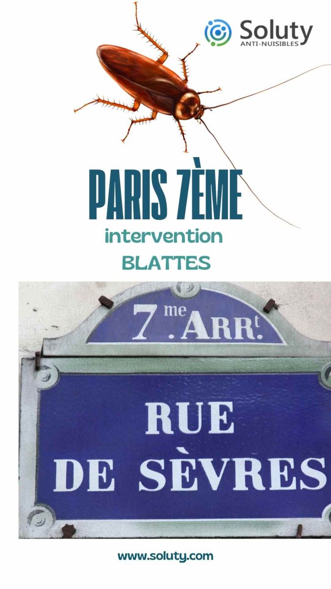 Société de désinsectisation de cafards et exterminateur de nuisibles à Paris 7ème (75007)