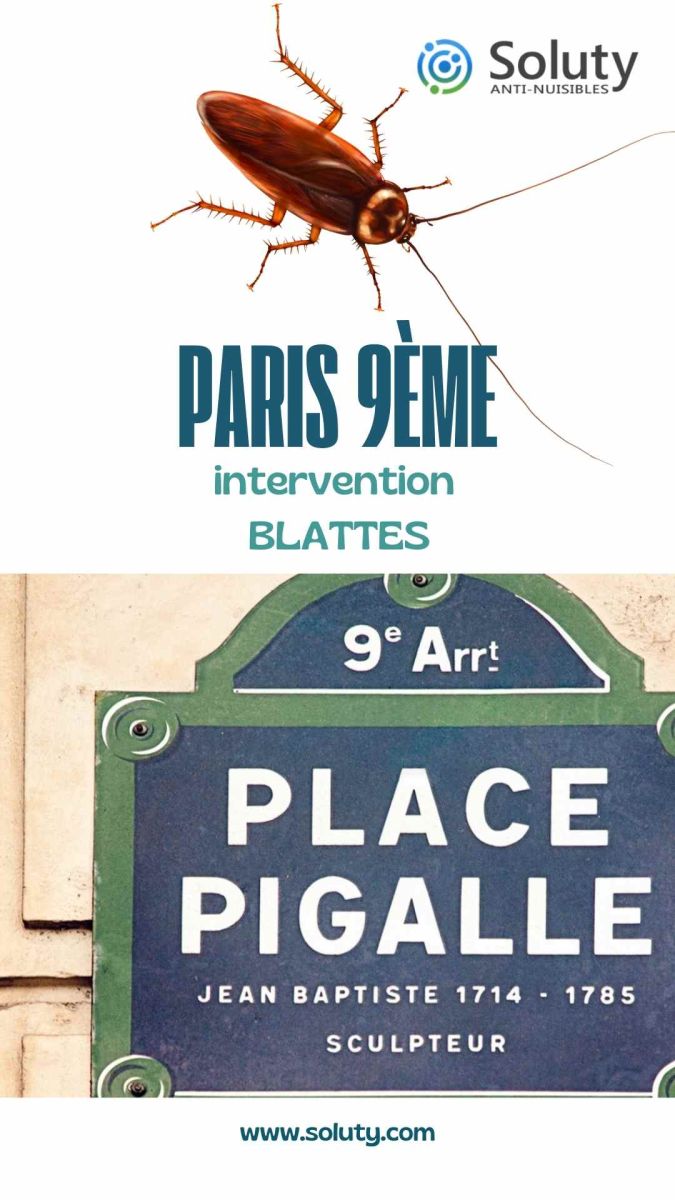 Société de désinsectisation de cafards et exterminateur de nuisibles à Paris 9ème (75009)