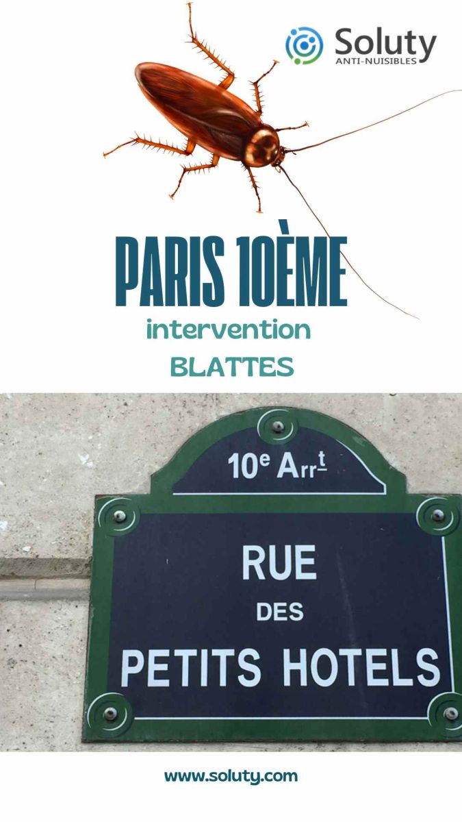 Société de désinsectisation de cafards et exterminateur de nuisibles à Paris 10ème (75010)