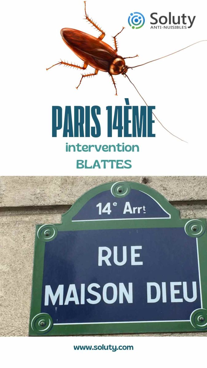 Société de désinsectisation de cafards et exterminateur de nuisibles à Paris 14ème (75014)