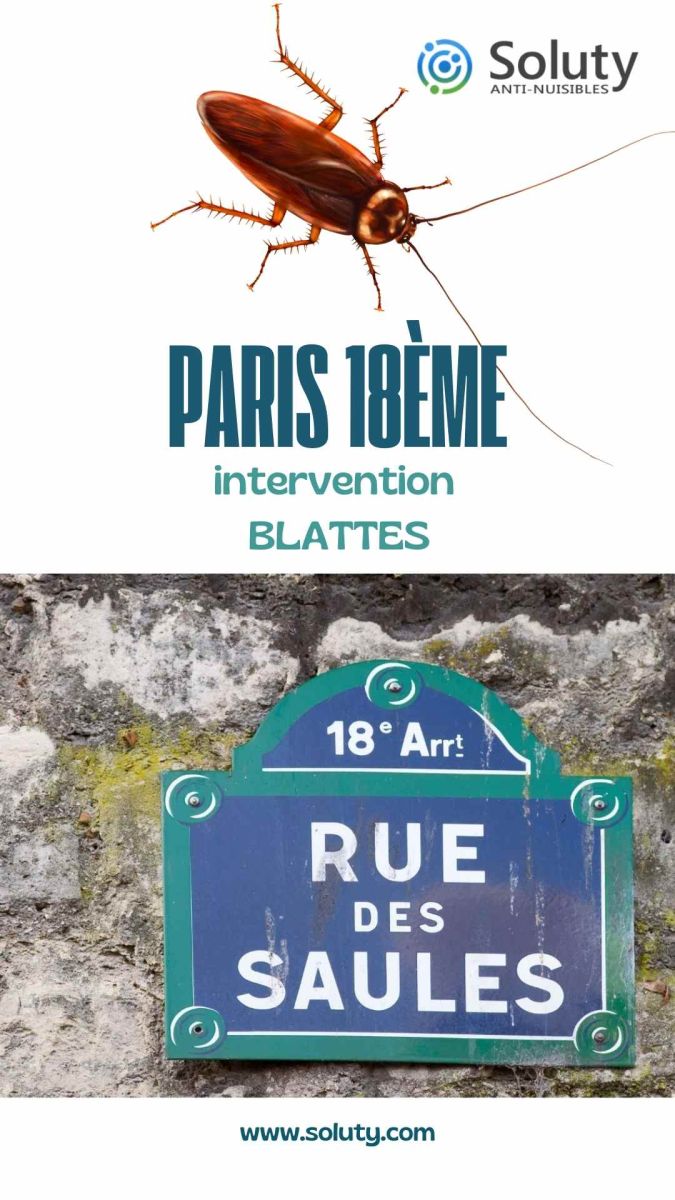 Société de désinsectisation de cafards et exterminateur de nuisibles à Paris 18ème (75018)