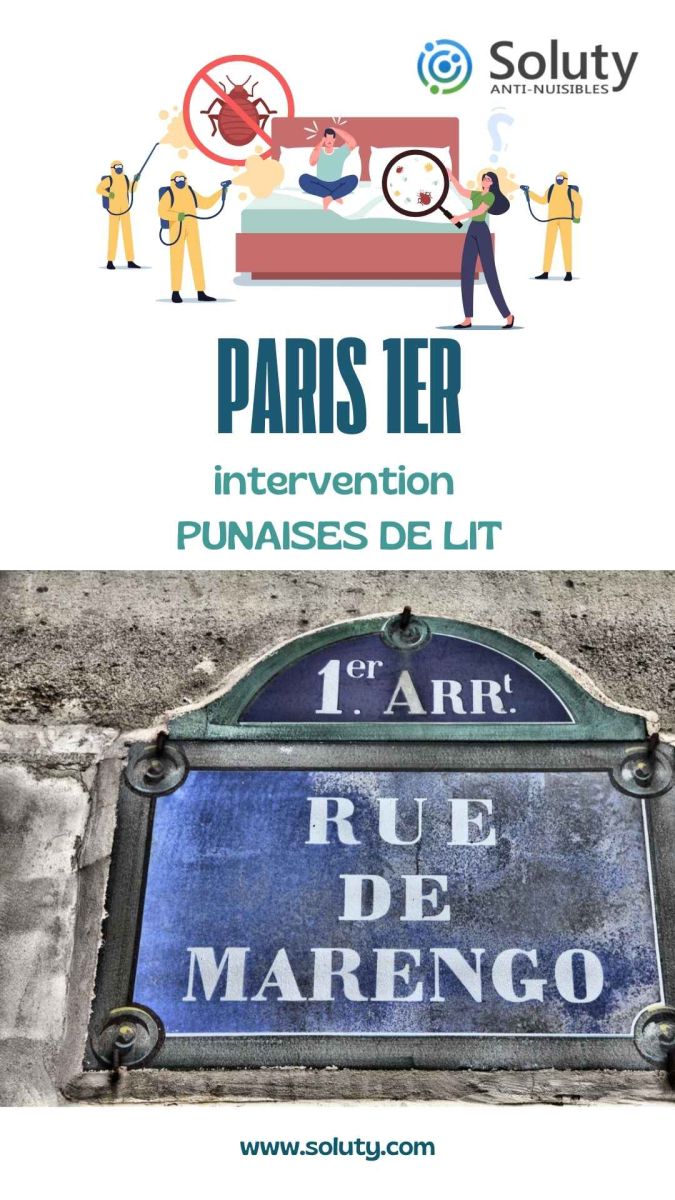 Société de désinsectisation de punaises de lit et exterminateur de nuisibles à Paris 1er (75001)