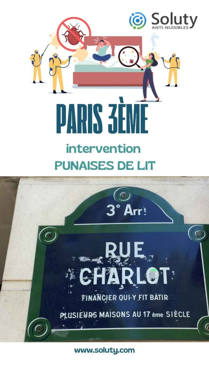 Société de désinsectisation de punaises de lit et exterminateur de nuisibles à Paris 3ème (75003)