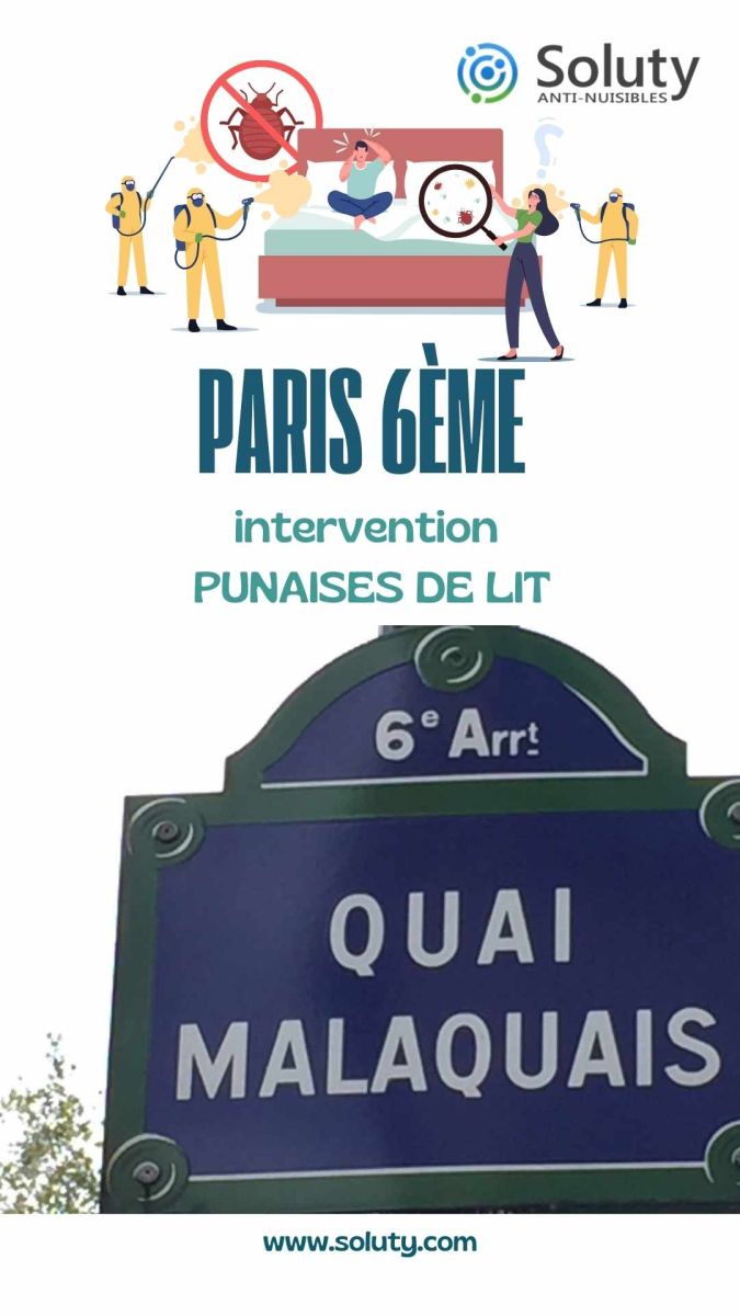 Société de désinsectisation de punaises de lit et exterminateur de nuisibles à Paris 6ème (75006)