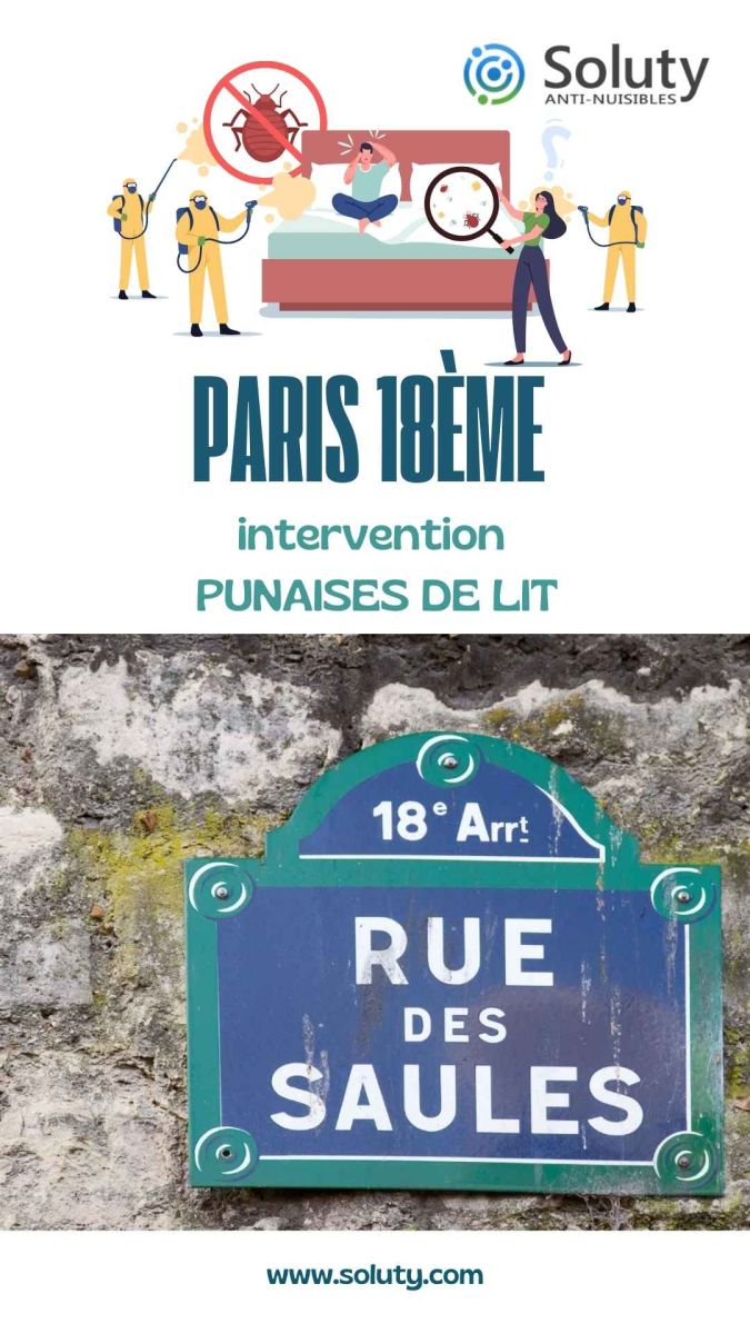 Société de désinsectisation de punaises de lit et exterminateur de nuisibles à Paris 18ème (75018)