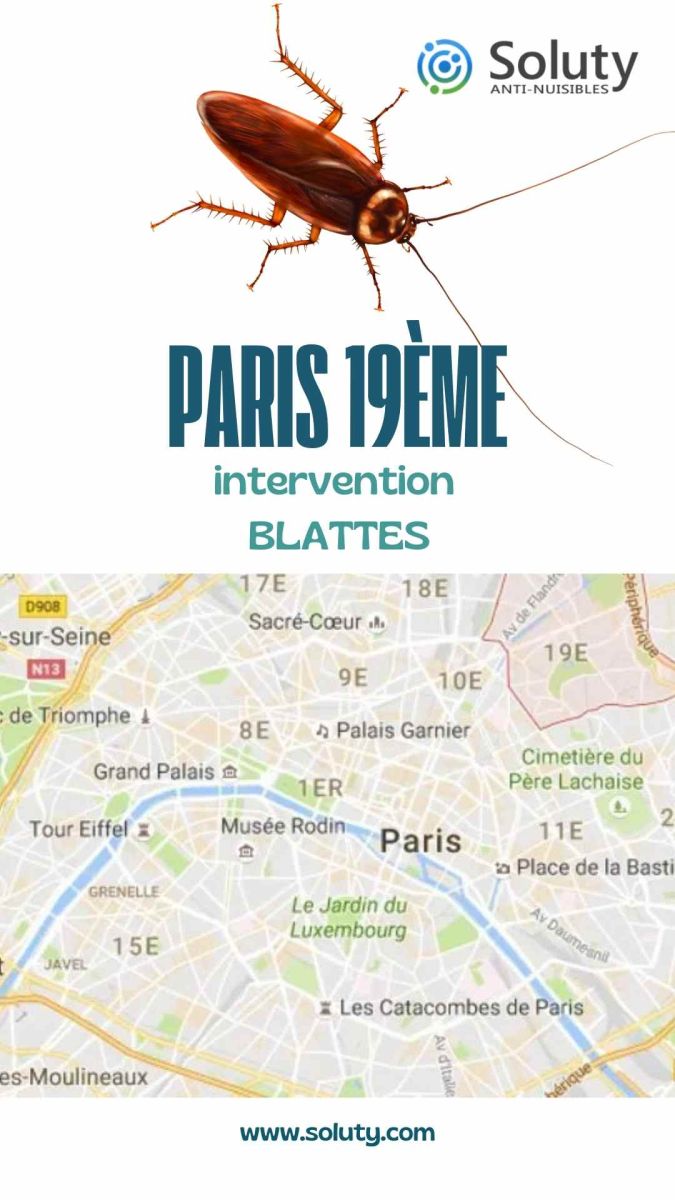 Société de désinsectisation de cafards et exterminateur de nuisibles à Paris 19e (75019)