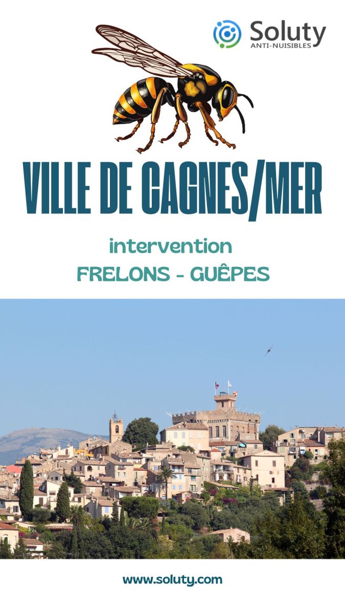 Société de désinsectisation de frelons ou de guêpes et exterminateur de nuisibles à Cagnes-sur-Mer (06800)