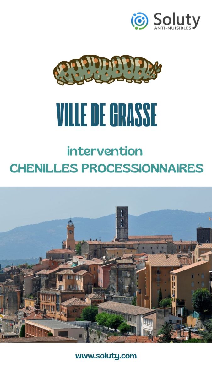 Société de désinsectisation et exterminateur de chenilles processionnaires à Grasse (06130) 