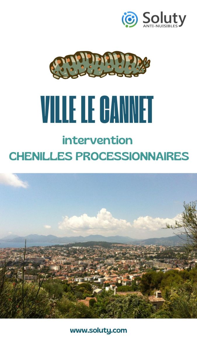 Société de désinsectisation des chenilles processionnaires et exterminateur de nuisibles au Cannet (06110)