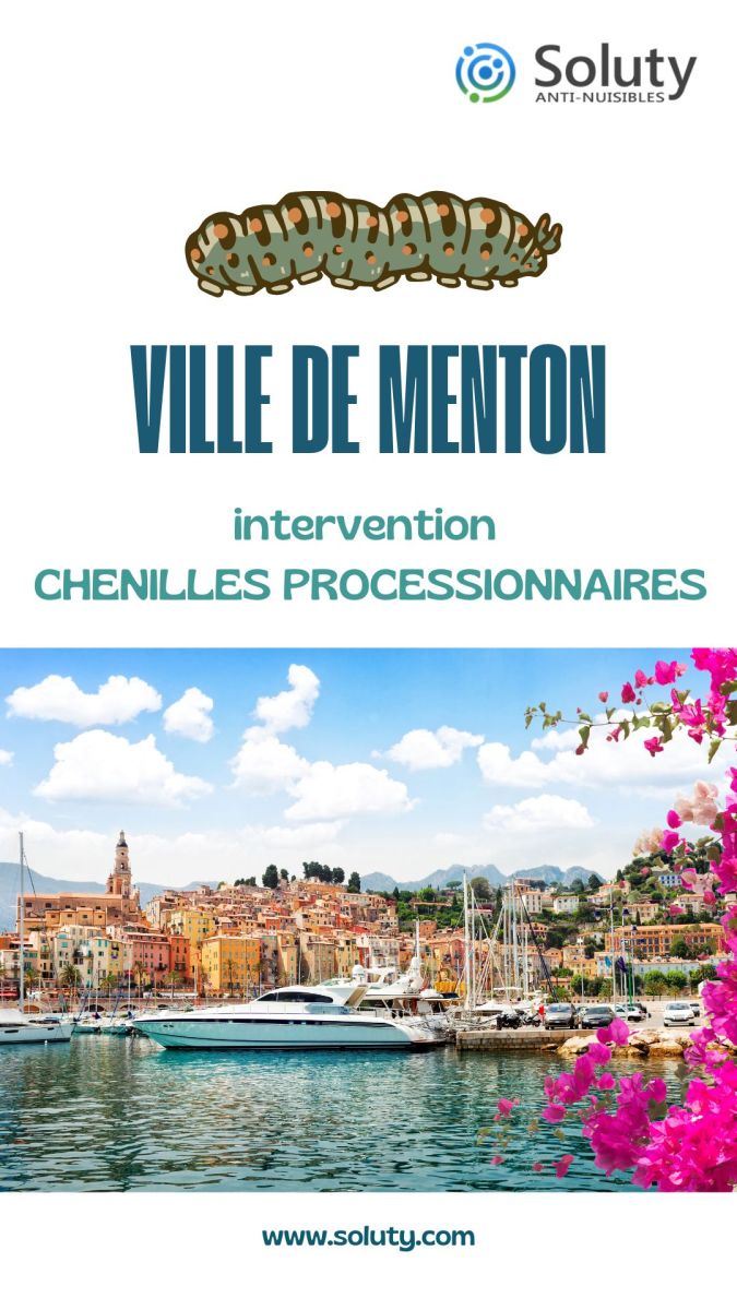 Société de désinsectisation des chenilles processionnaires et exterminateur de nuisibles à Menton