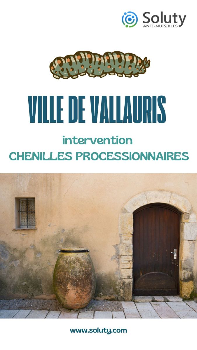 Société de désinsectisation des chenilles processionnaires et exterminateur de nuisibles à Vallauris (06220)