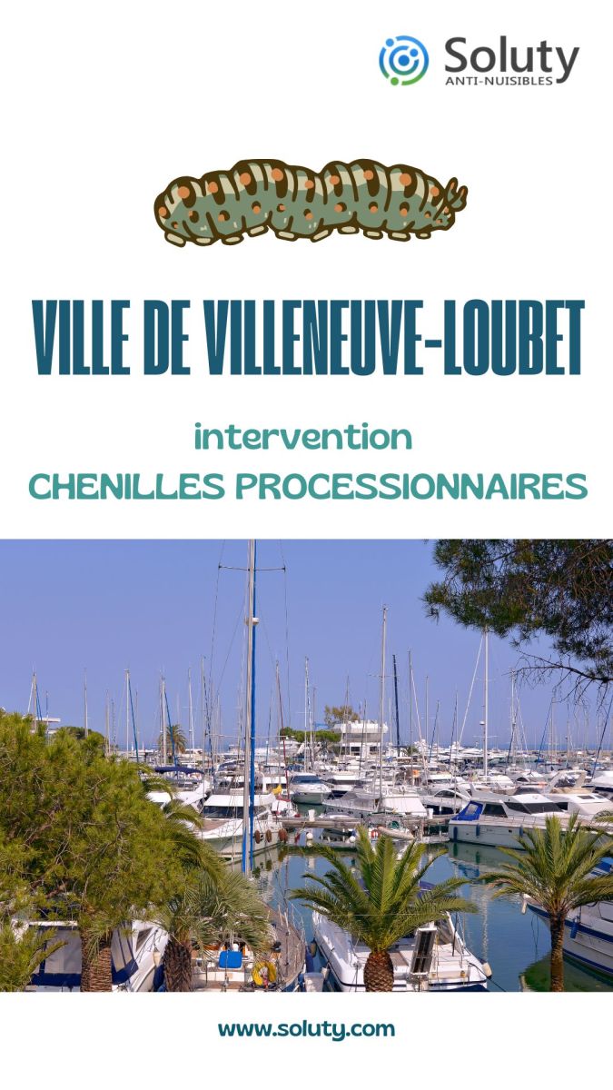 Société de désinsectisation de cafards et exterminateur de processionnaires du pin et du chêne à Villeneuve-Loubet (06270)