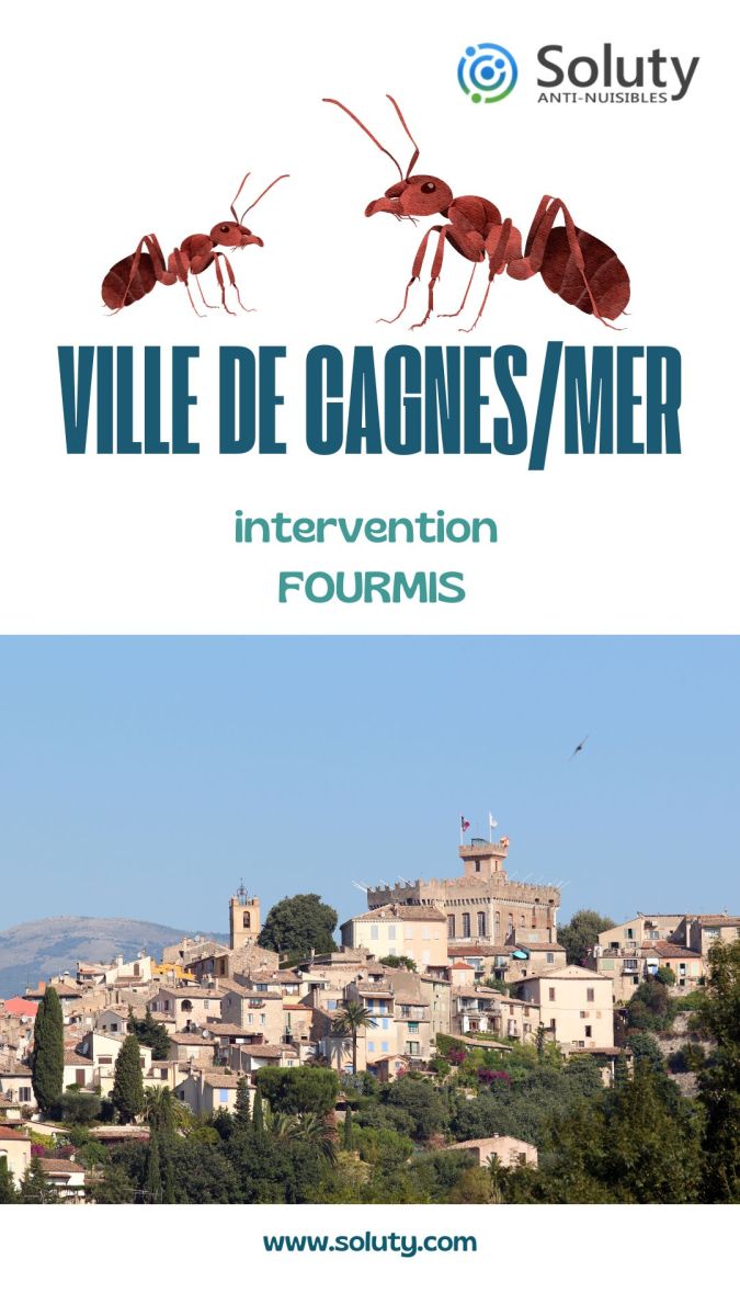 Société de désinsectisation de fourmis et exterminateur de nuisibles à Cagnes-sur-Mer (06800)