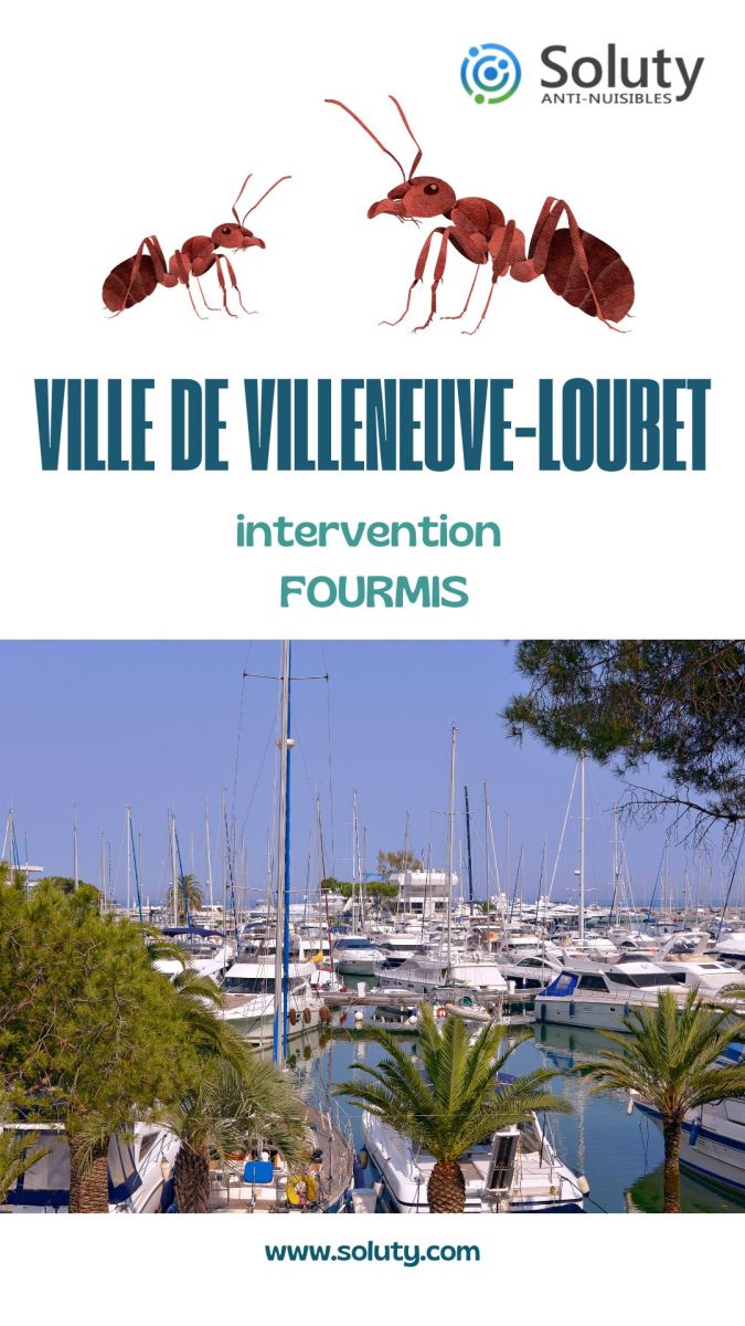 Société de désinsectisation de fourmis et exterminateur de nuisibles à Villeneuve-Loubet (06270)