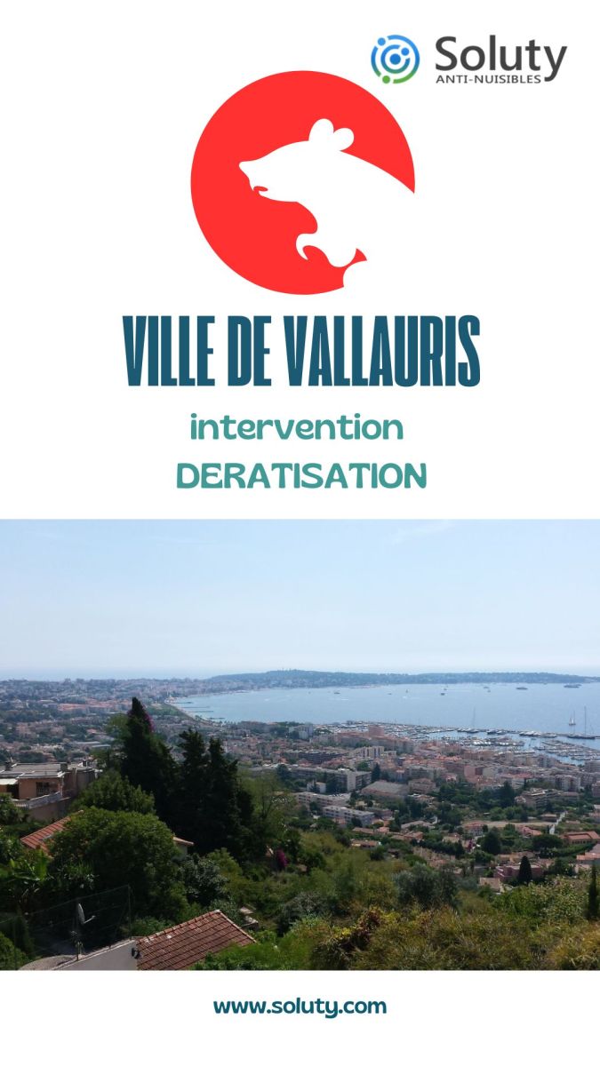 Société de dératisation et exterminateur de nuisibles à Vallauris (06220)