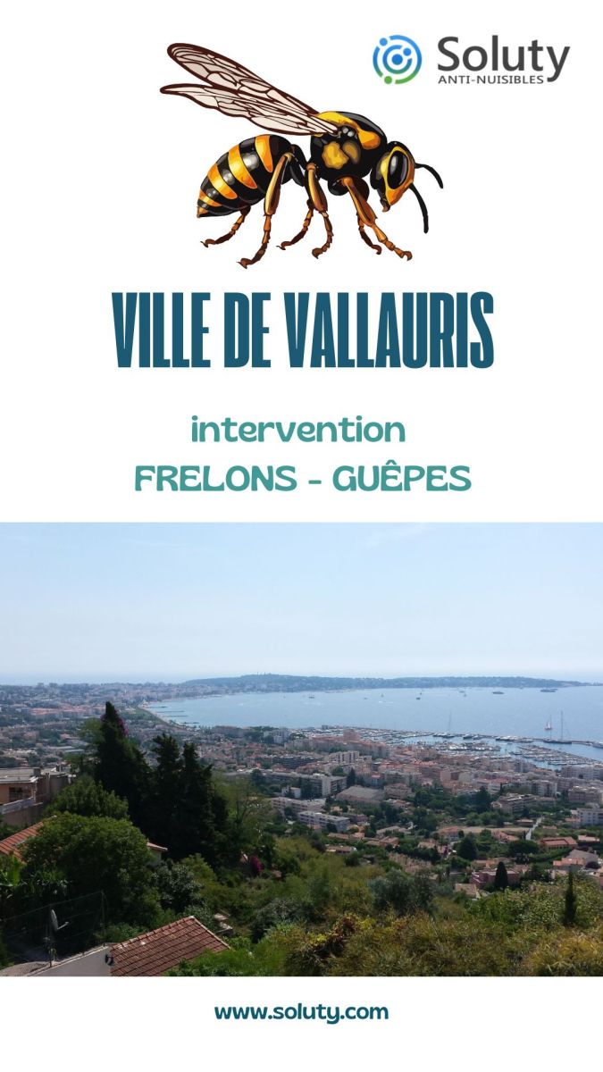 Société de désinsectisation de frelons ou de guêpes et exterminateur de nuisibles à Vallauris (06220)