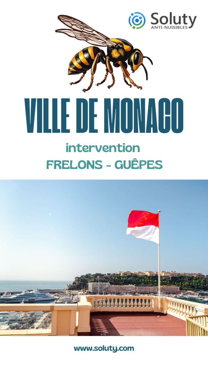 Société de désinsectisation de frelons ou de guêpes et exterminateur de nuisibles à Monaco (98000)