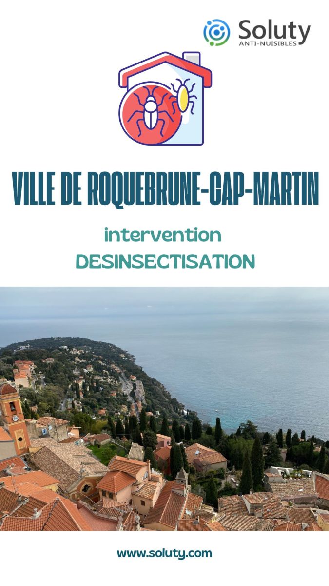 Société de désinsectisation et exterminateur de nuisibles à Roquebrune-Cap-Martin (06190)