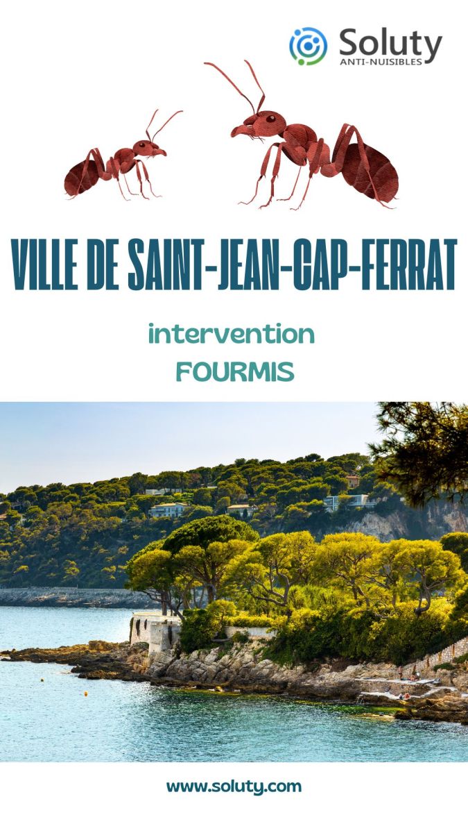 Société de désinsectisation de fourmis et exterminateur de nuisibles à Saint-Jean-Cap-Ferrat (06230)