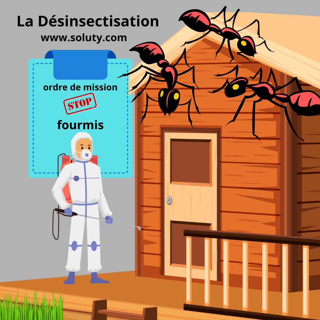 Société de désinsectisation de fourmis et exterminateur de nuisibles à Saint-Jean-Cap-Ferrat (06230)