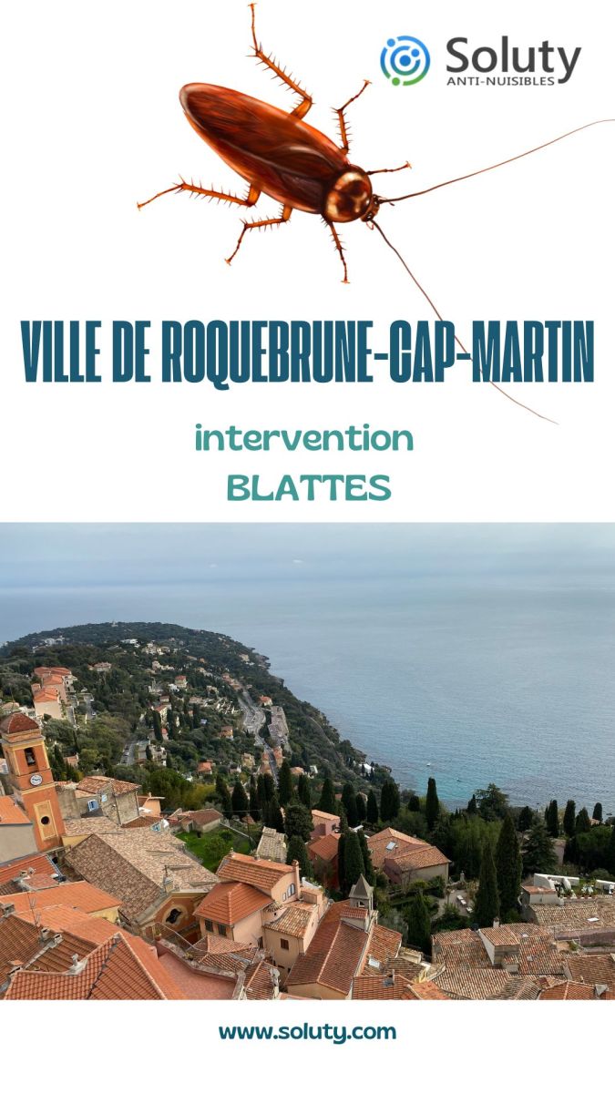 Société de désinsectisation de cafards et exterminateur de nuisibles dans la commune de Roquebrune-Cap-Martin (06190)