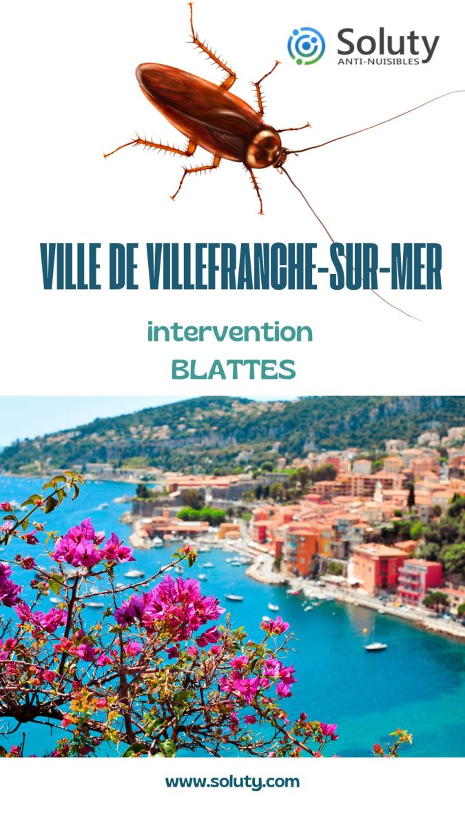 Société de désinsectisation de cafards et exterminateur de nuisibles dans la cité balnéaire de Villefranche-sur-Mer (06230)