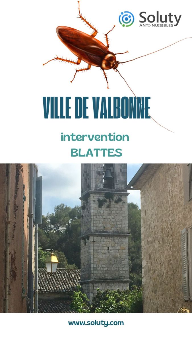 Société de désinsectisation de cafards et exterminateur de nuisibles de la commune urbaine de Valbonne (06560)