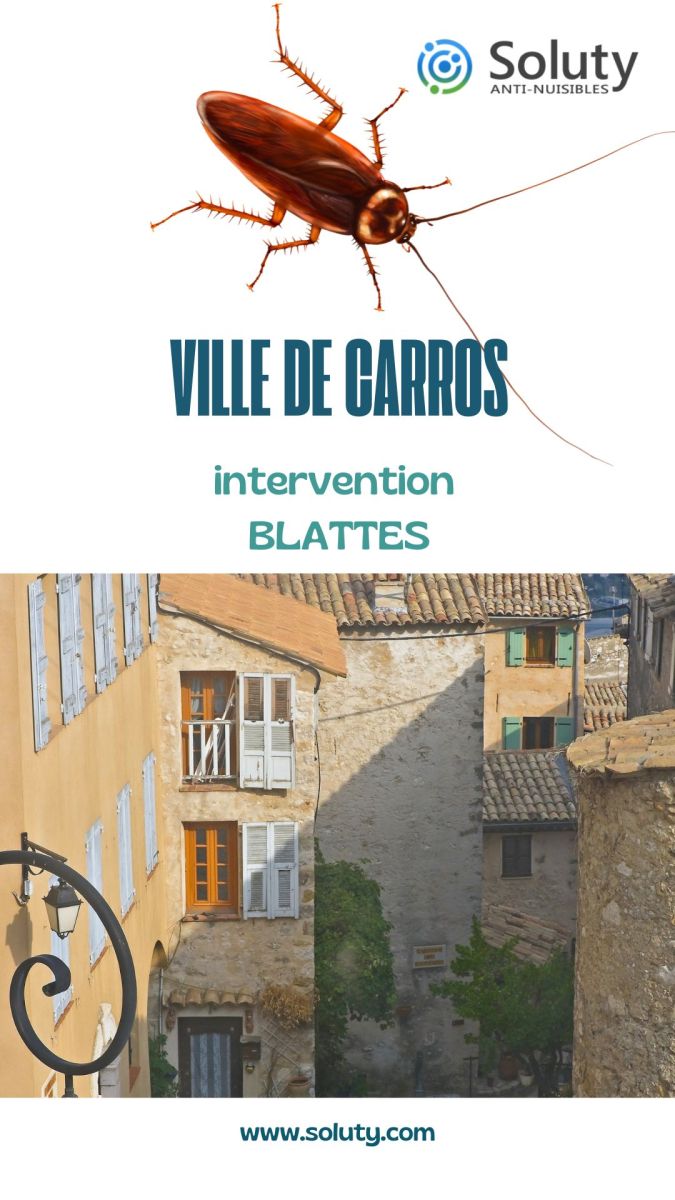 Société de désinsectisation de cafards et exterminateur de nuisibles de la municipalité de Carros (06510)