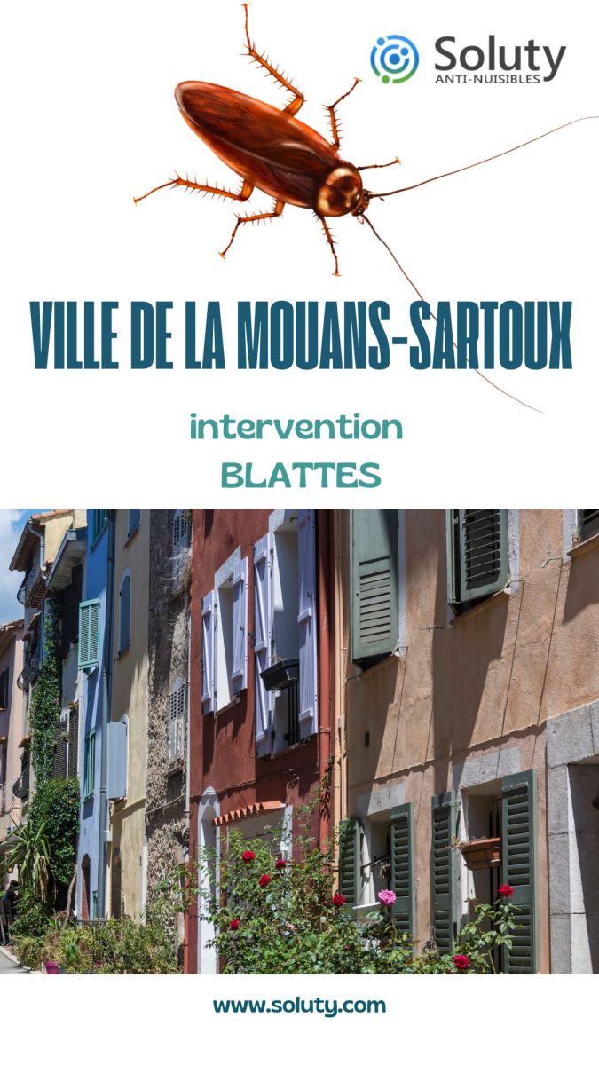 Société de désinsectisation de cafards et exterminateur de nuisibles du centre-ville de Mouans-Sartoux (06370)