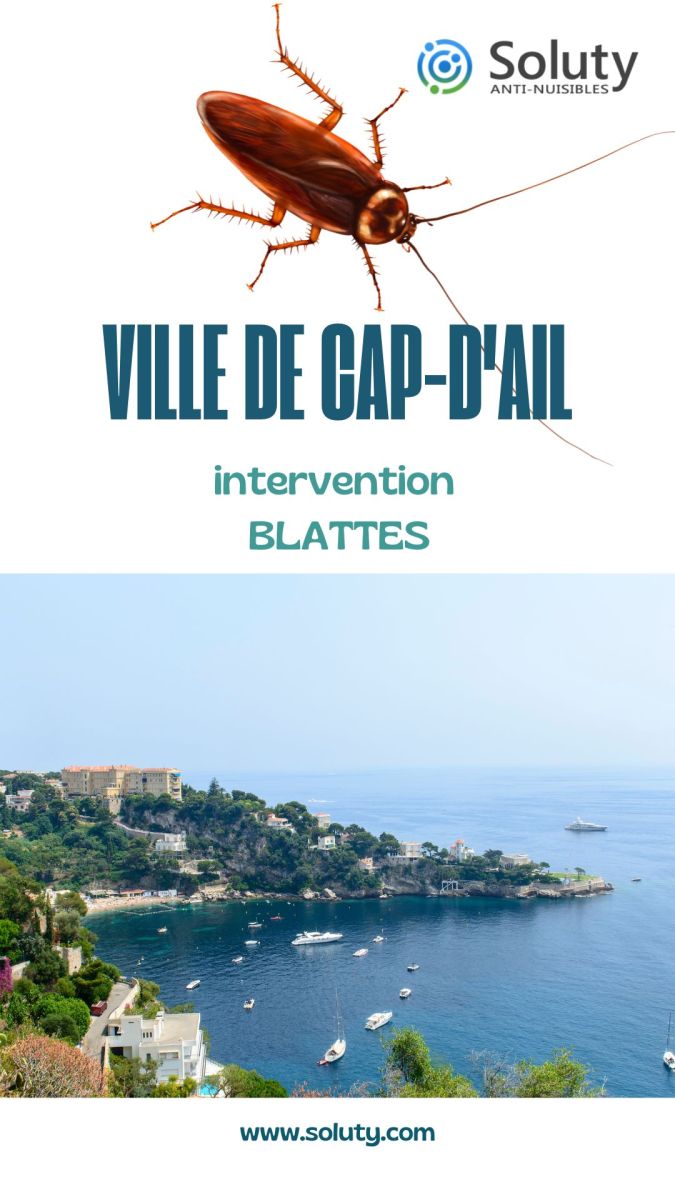 Société de désinsectisation de cafards et exterminateur de nuisibles de la commune de Cap-d'Ail (06320)