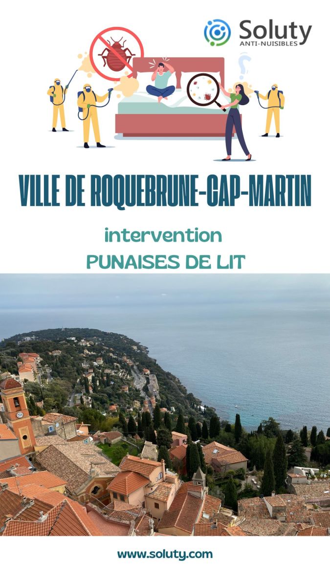 Société de désinsectisation de punaises de lit et exterminateur de nuisibles à Roquebrune-Cap-Martin (06190)