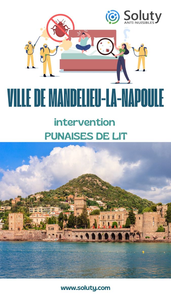 Société de désinsectisation de punaises de lit et exterminateur de nuisibles à Mandelieu-la-Napoule (06210)