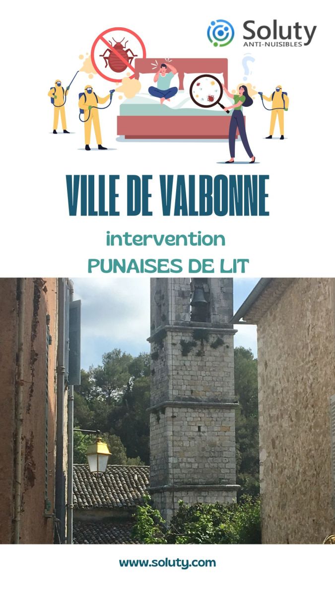 Société de désinsectisation de punaises de lit et exterminateur de nuisibles à Valbonne  (06560)