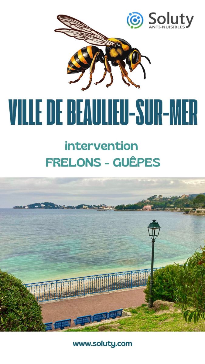 Société de désinsectisation de frelons ou de guêpes et exterminateur de nuisibles à Beaulieu sur mer (06310)