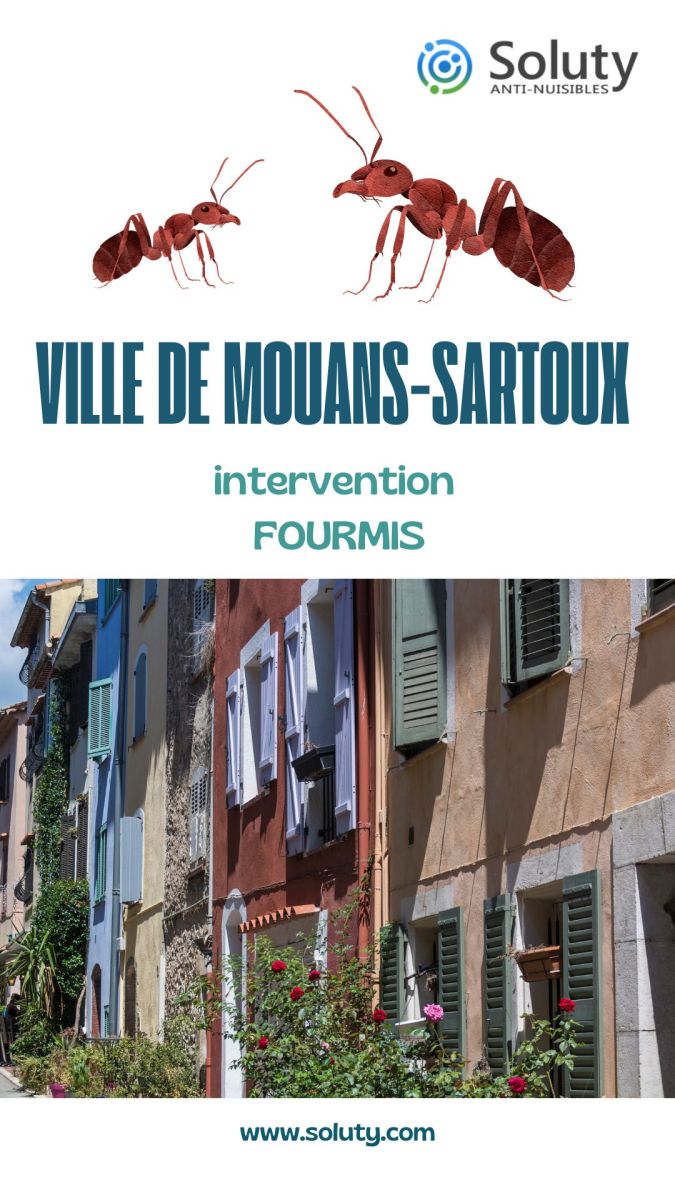 Société de désinsectisation de fourmis et exterminateur de nuisibles à Mouans-Sartoux (06370)